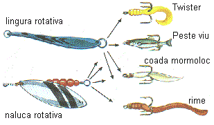 Interesant II :P - linguri1.gif